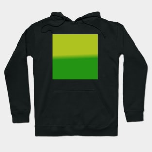 Green Gradient Color Hoodie